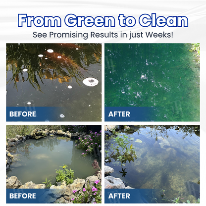 ✨ From Green to Clean Overnight! |⏱️ Crystal Clear in 24 Hours! | Copurely®The Water PurifierPro Formula