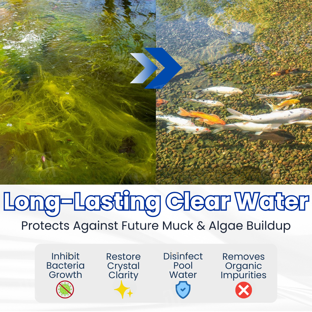 ✨ From Green to Clean Overnight! |⏱️ Crystal Clear in 24 Hours! | Copurely®The Water PurifierPro Formula