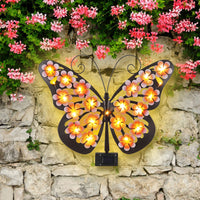 Elegant Butterfly
