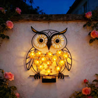 Midnight Owl