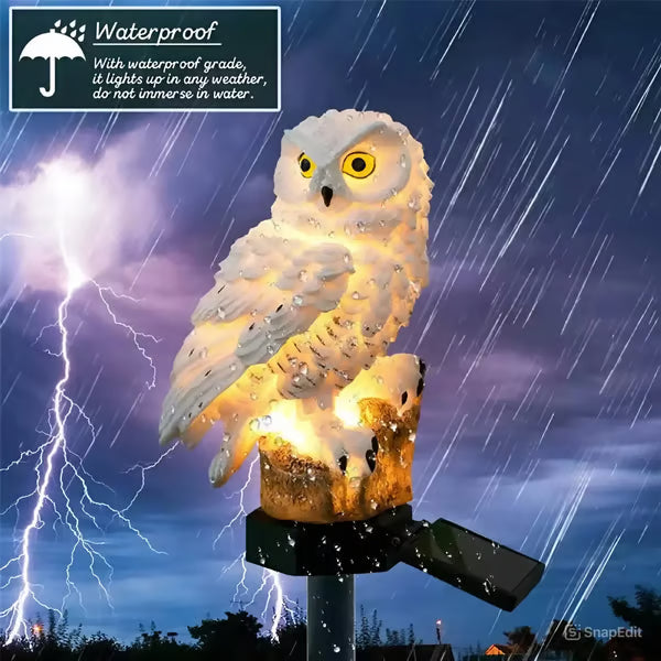 ✨Last Day Promotion 49% OFF--Waterproof Solar Owl Light