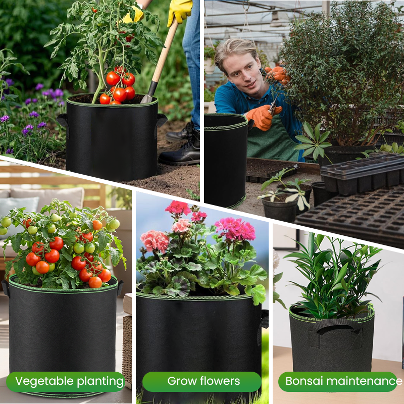 Thickened Non-Woven Grow Bag with Handles